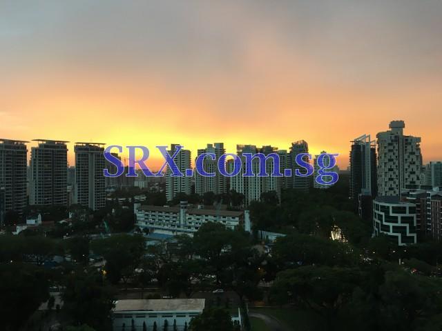 Leonie Suites (D9), Apartment #131660982
